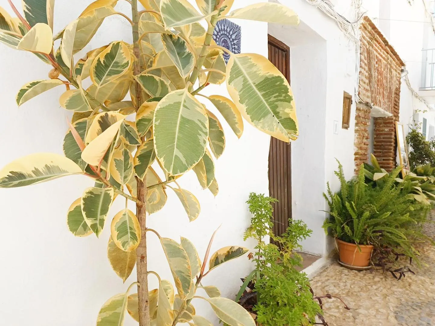 Las Pizarrillas: Tu Hogar En Este Blanco Pueblo Frigiliana Holiday home